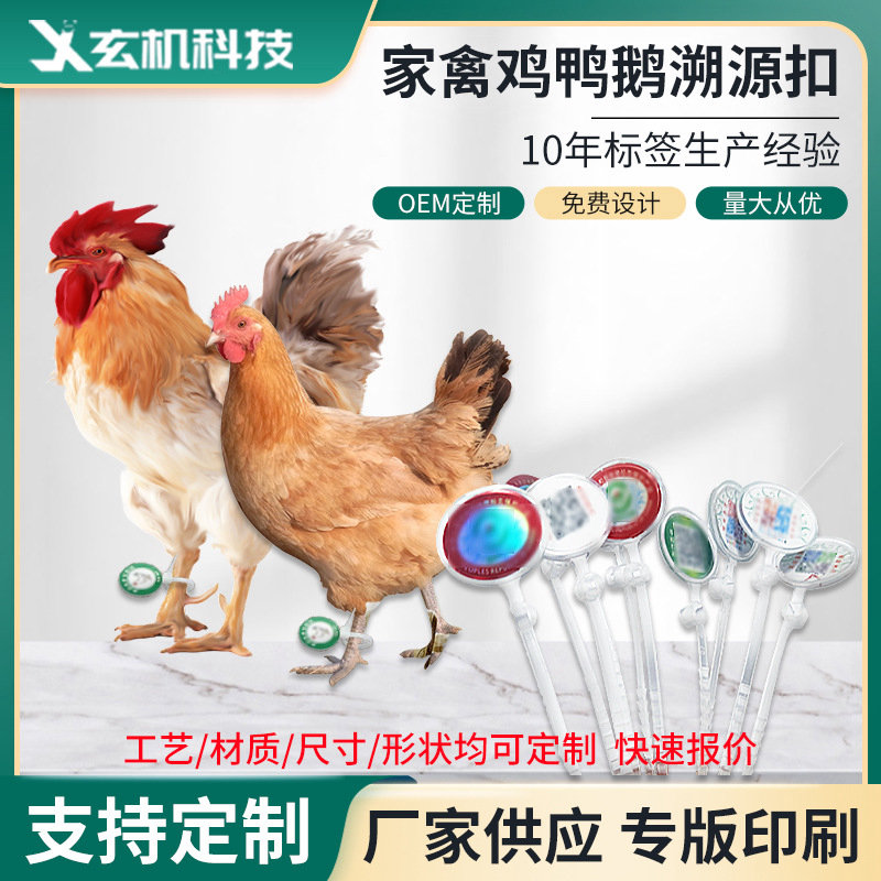 鸡鸭鹅溯源扎带扣鸡脚扣家禽溯源一物一码防伪溯源鸡脚扣蟹扣